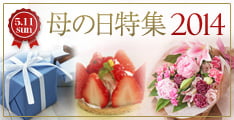 母の日特集2014