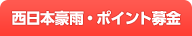 九州豪雨・ポイント募金