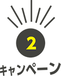 icon campaign detail 2