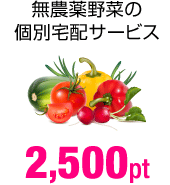 無農薬野菜の個別宅配サービス 2,500pt
