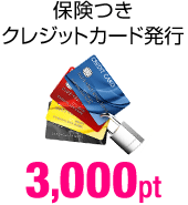 保険つきクレジットカード発行 3,000pt