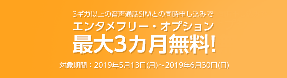 エンタメ追加オプション