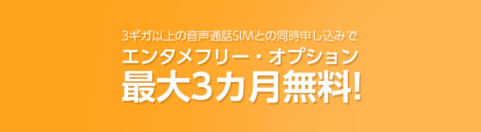 エンタメ追加オプション